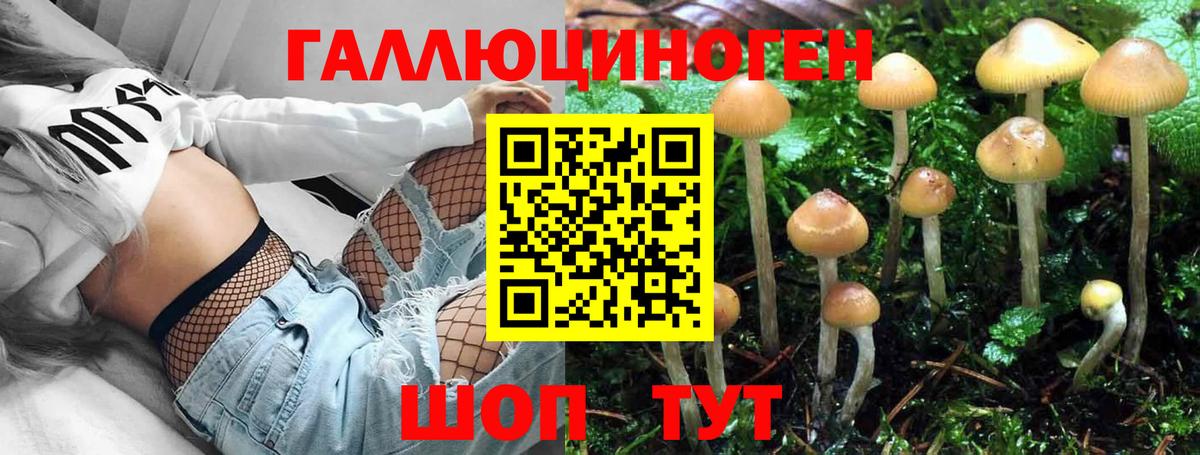 Чебоксары  Галлюциногенные грибы Magic Shrooms  где купить   Псилоцибиновые грибы MAGIC MUSHROOMS  Вход с VPN 