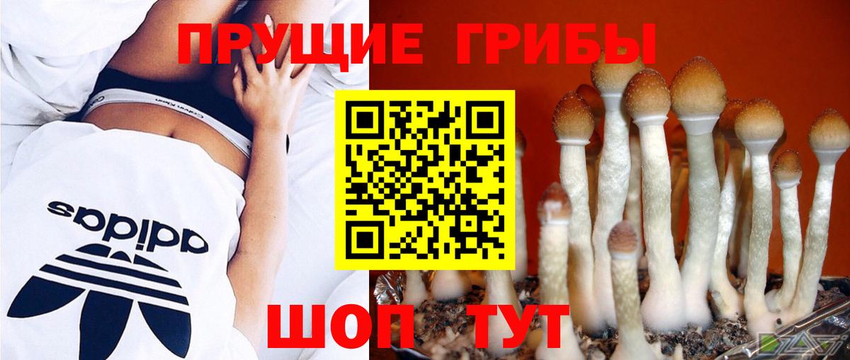 Галлюциногенные грибы мухоморы Чебоксары